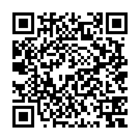 QR code for IPU4381
