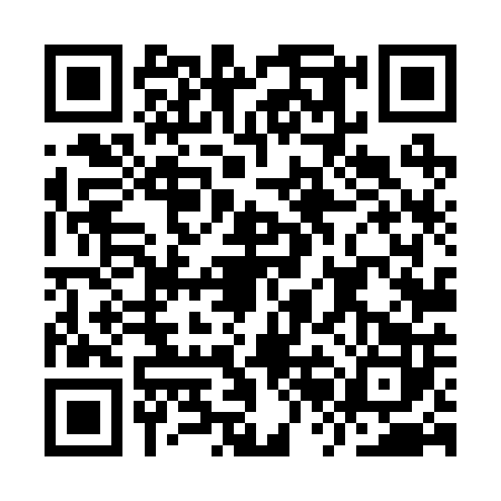 QR code for IRL2020