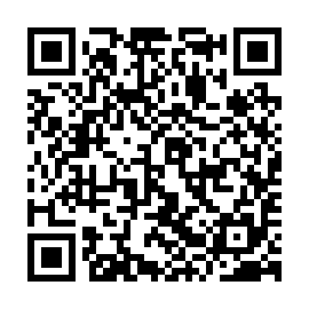 QR code for IRS295