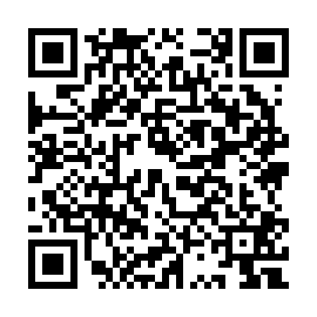 QR code for ISI2013