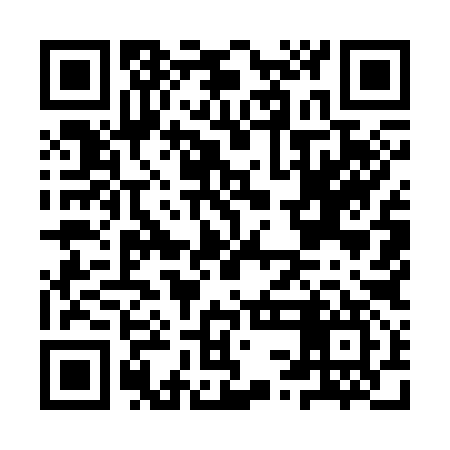 QR code for ISM397