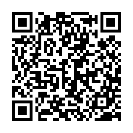 QR code for IUT447