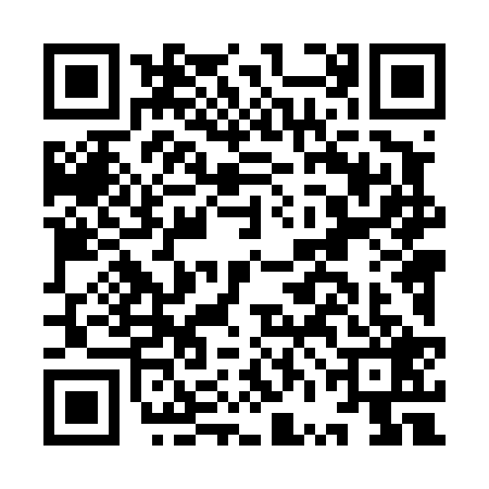 QR code for IVL4294