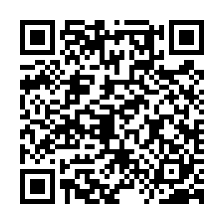 QR code for IVR4201