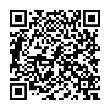 QR code for IZM929