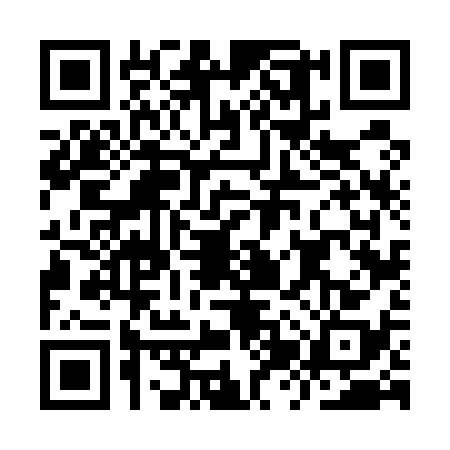QR code for IZV5383