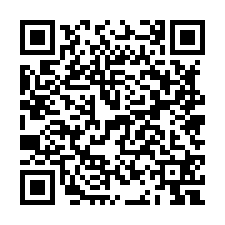 QR code for JAU8209