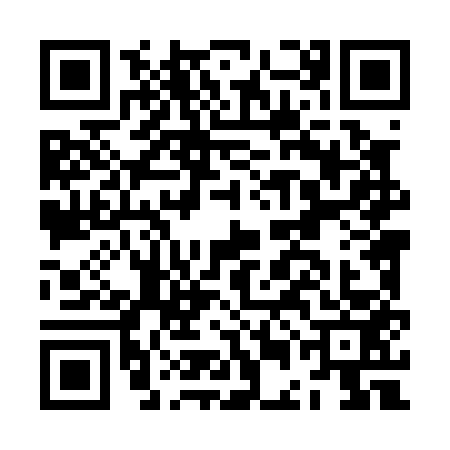 QR code for JEL0539