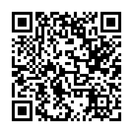 QR code for JGR381