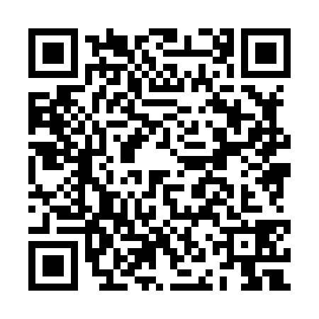 QR code for JNX8382