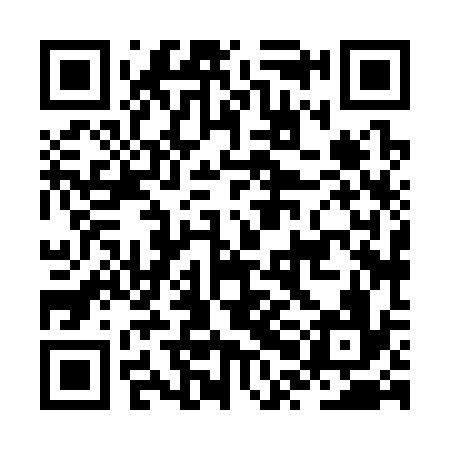QR code for JPH336