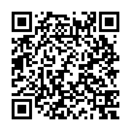 QR code for JSI338