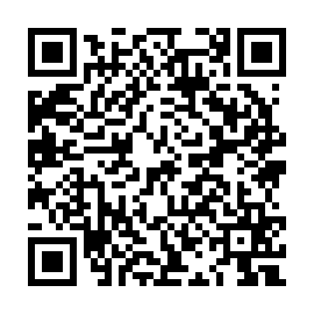 QR code for LAI2656