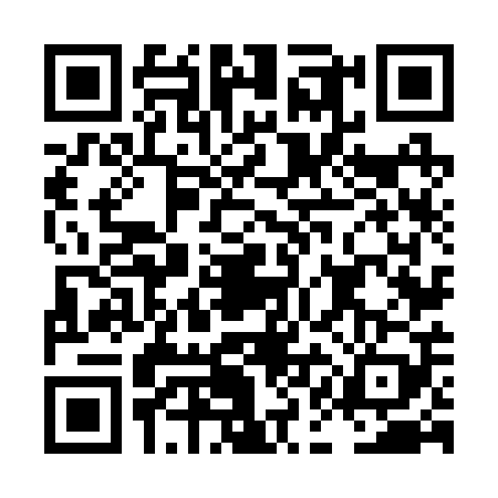 QR code for LAN2095