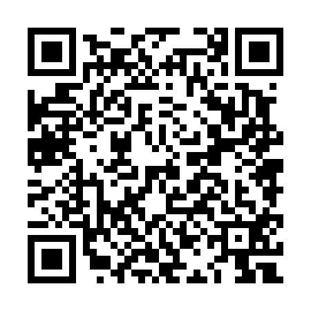 QR code for LAN4125