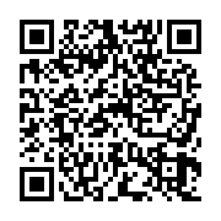 QR code for LAP9691