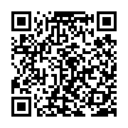 QR code for LAV609