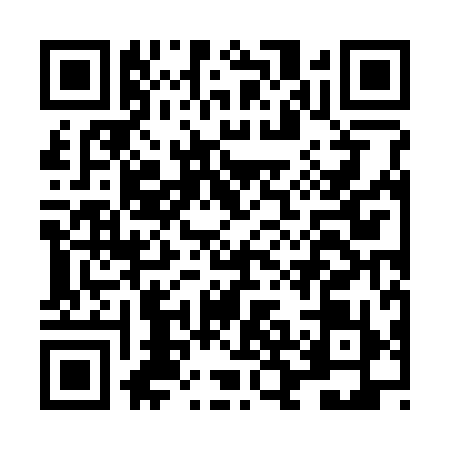 QR code for LBJ3994