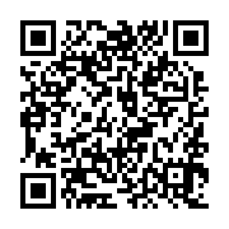 QR code for LDD295