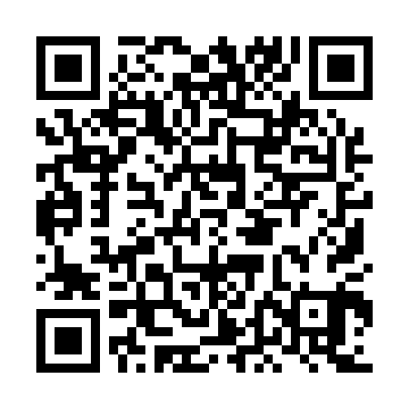 QR code for LDI101