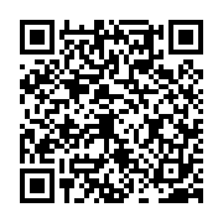 QR code for LDV0738