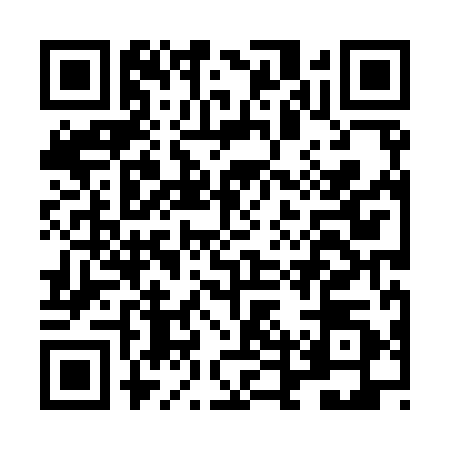 QR code for LDX9903