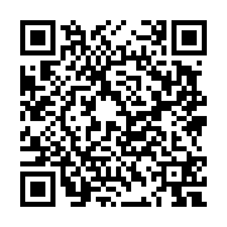 QR code for LDY4207