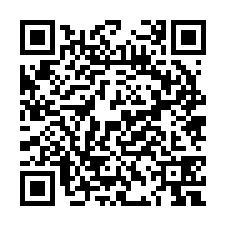QR code for LDZ2386