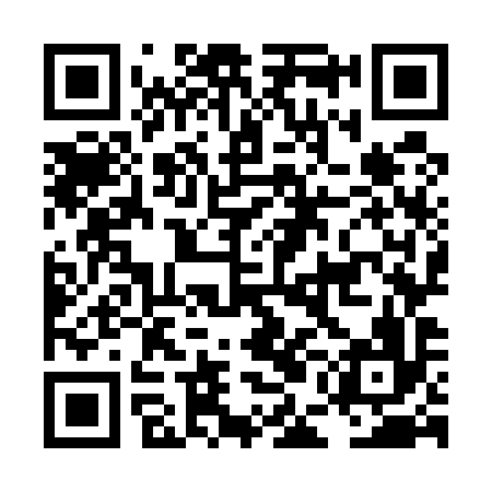 QR code for LEO596