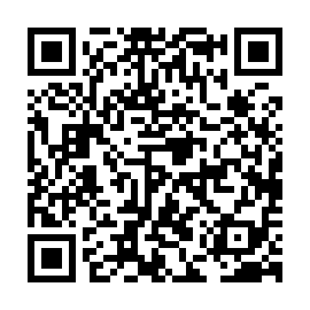 QR code for LEP919