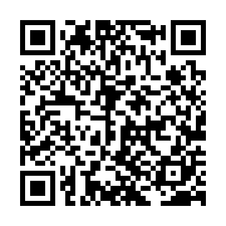 QR code for LFL300