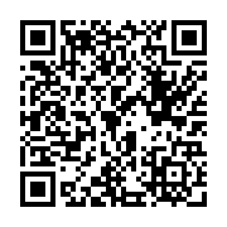 QR code for LFN2228