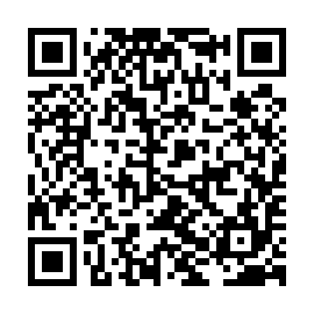 QR code for LHS594