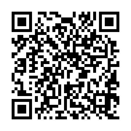 QR code for LIE355