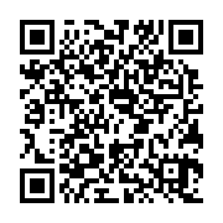QR code for LIG325