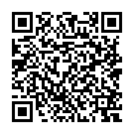 QR code for LIM9029