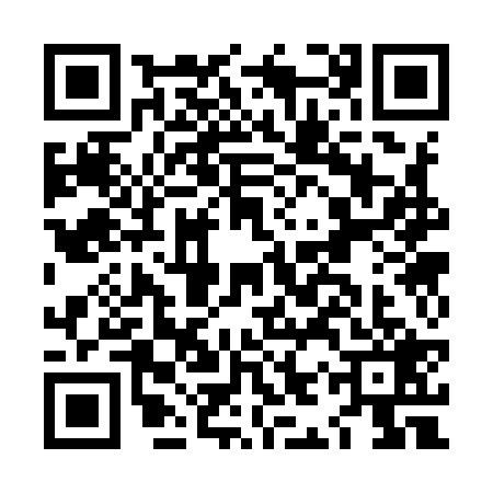 QR code for LIS9290