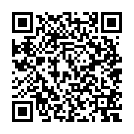 QR code for LIZ6009