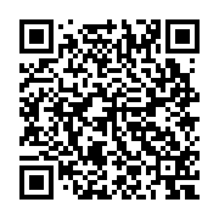 QR code for LMA313
