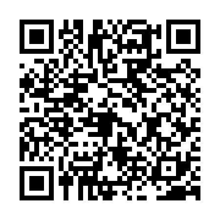 QR code for LNG0311