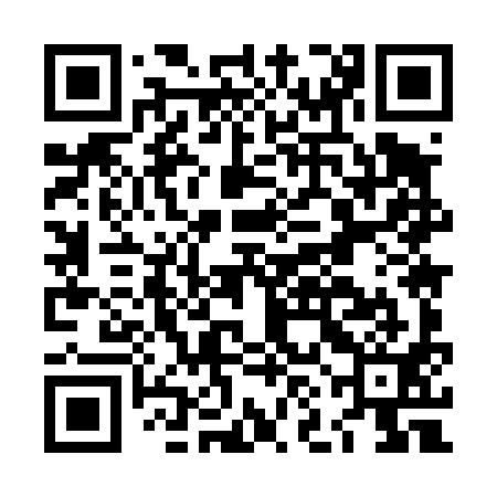 QR code for LNM491