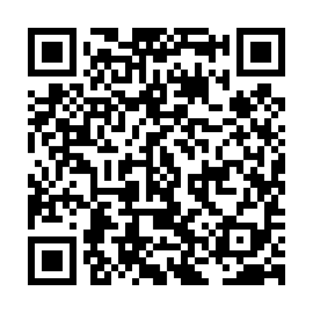 QR code for LNY499