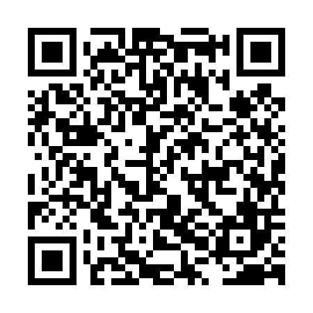 QR code for LPI406