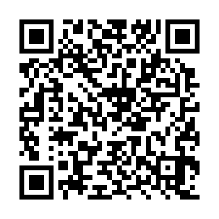 QR code for LPV333