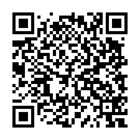 QR code for LRD419