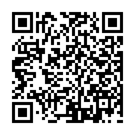 QR code for LSE3033