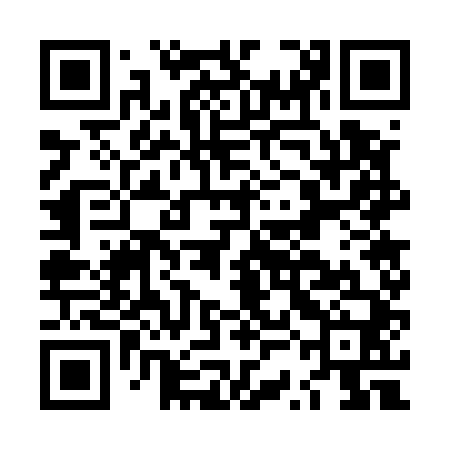 QR code for LSG540