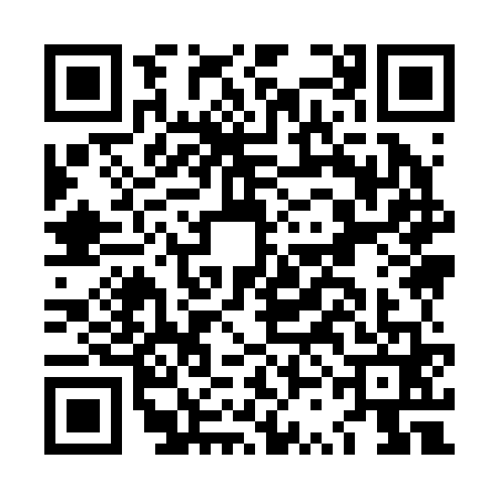 QR code for LSI2617