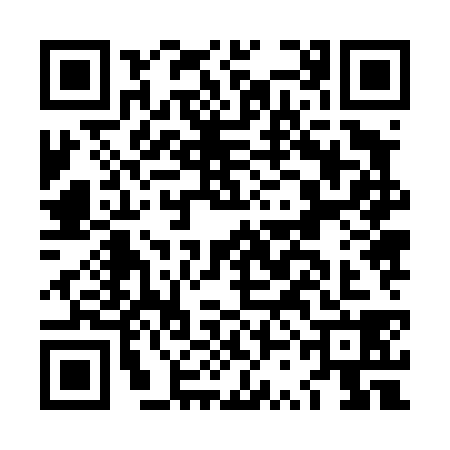 QR code for LSJ4383