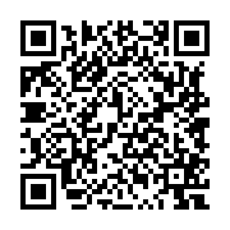 QR code for LUD8055